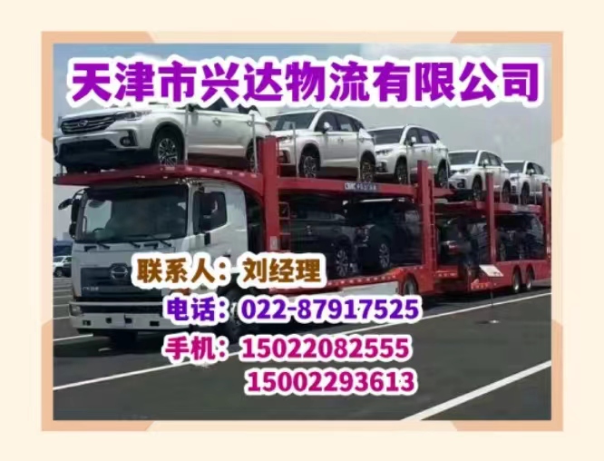 天津的物流服务能否提供跨境运输服务？